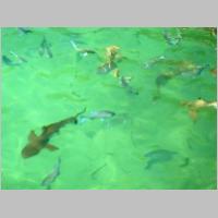 030 rekinki.html